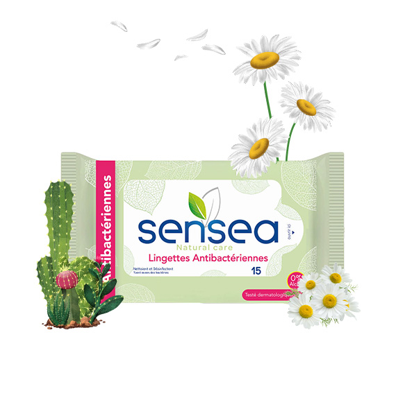 Lingettes Antibacteriennes